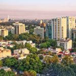 Protecting Forests Near and Far: Cities4Forests Launches at GCAS