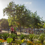 In Barranquilla, Colombia, Urban Parks Revitalize a Declining City