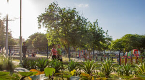 In Barranquilla, Colombia, Urban Parks Revitalize a Declining City