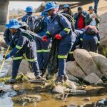 Greening the Jukskei River: Scaling Nature-Based Solutions for Climate Resilience in Johannesburg, South Africa